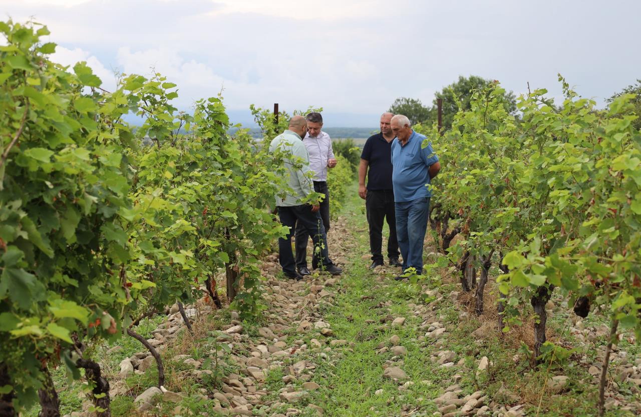 The damage caused by hail will be reimbursed to beneficiaries of the Agroinsurance State Program