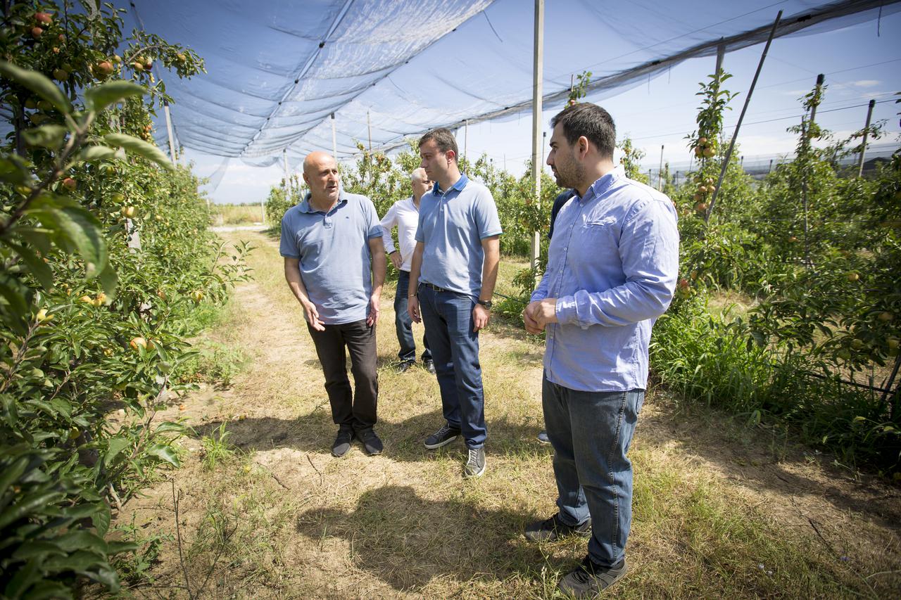 Hail-protection nets arranged in Karaleti village within the frames of the United Agroproject