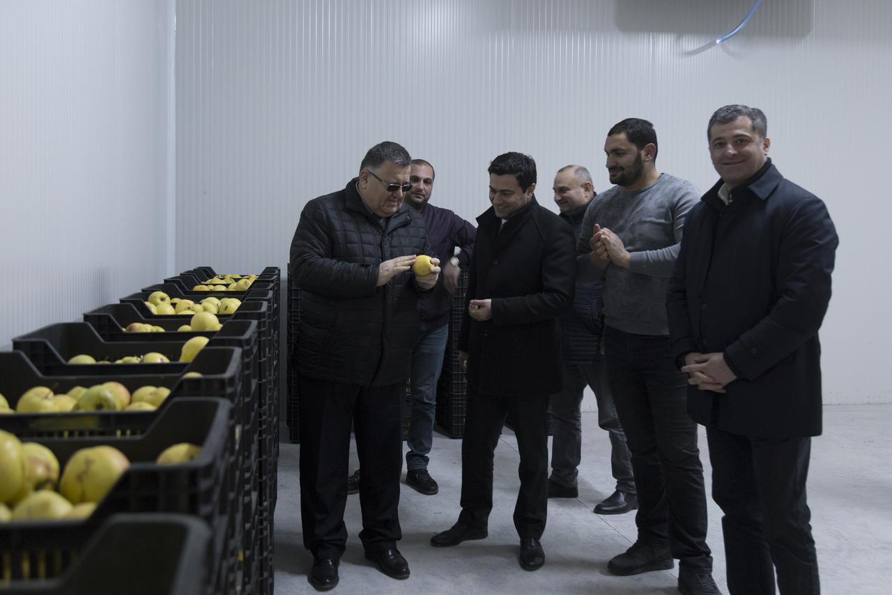 New Refrigeration Farm for Fruit and Vegetable Launched in the Shida Kartli 