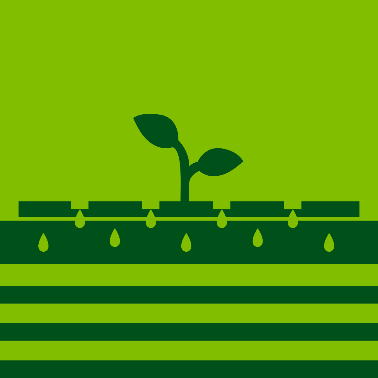 The program for promoting agricultural production on irrigated land plots
