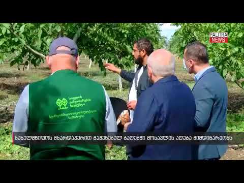  Harvesting is taking place in state supported gardens