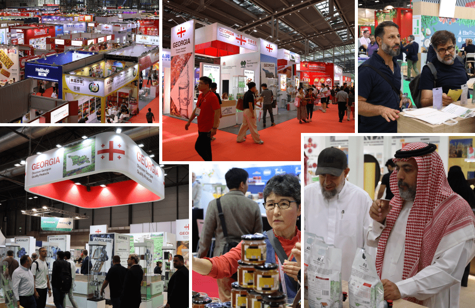 2026 წლის საერთაშორისო გამოფენები