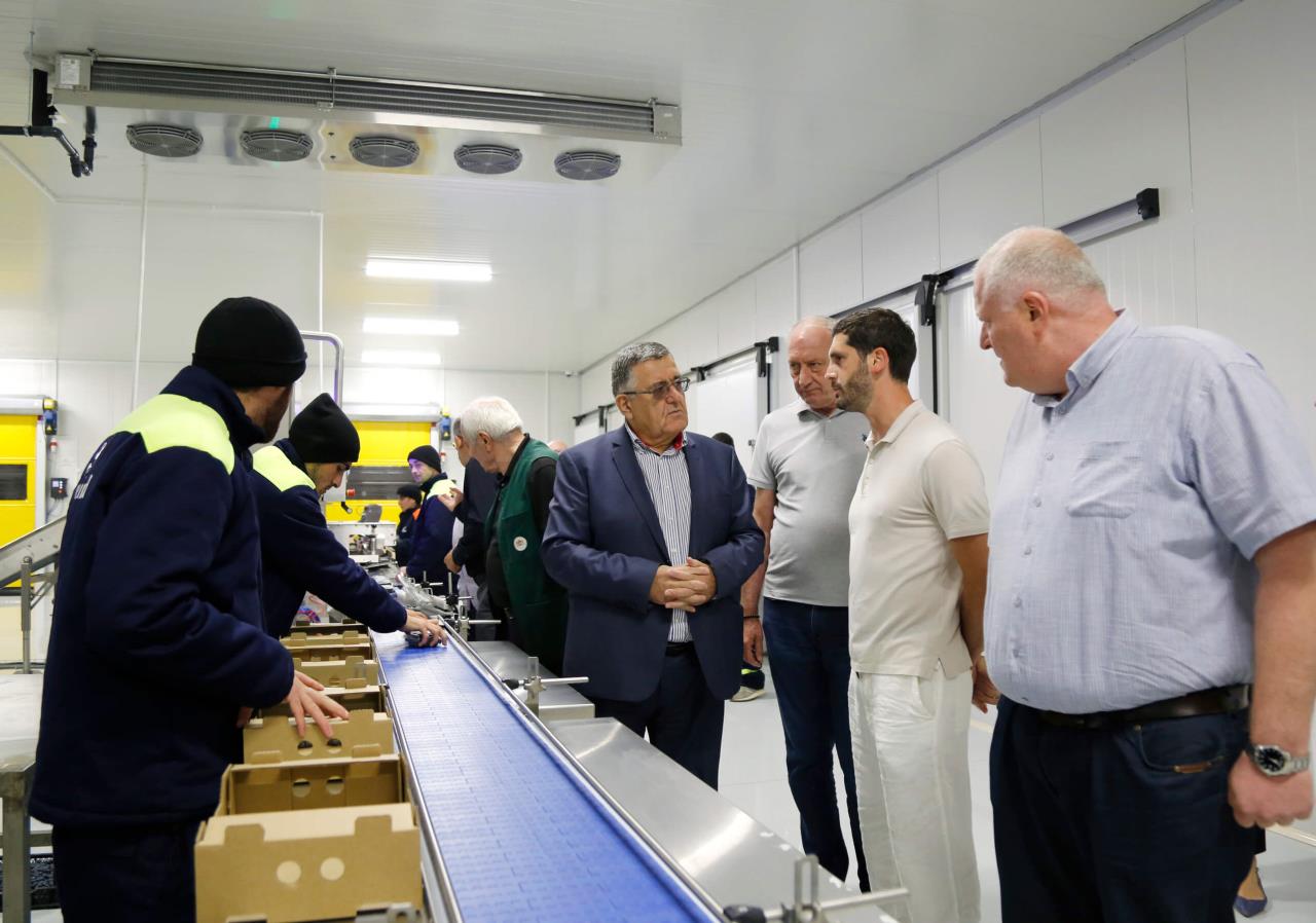 With the support of the Rural Development Agency, a new blueberry storage and processing enterprise was launched in the Samegrelo region
