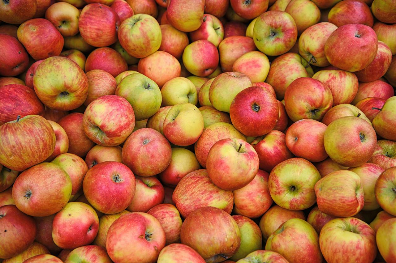 Industrial apple sale promotion program