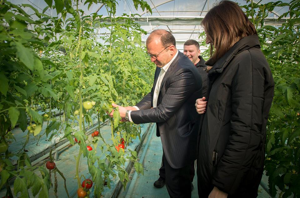 New Greenhouse in Mtskheta Municipality  