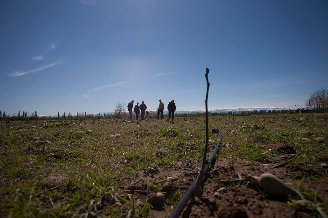 A new garden was developed in Imereti region within the framework of the United Agro Project