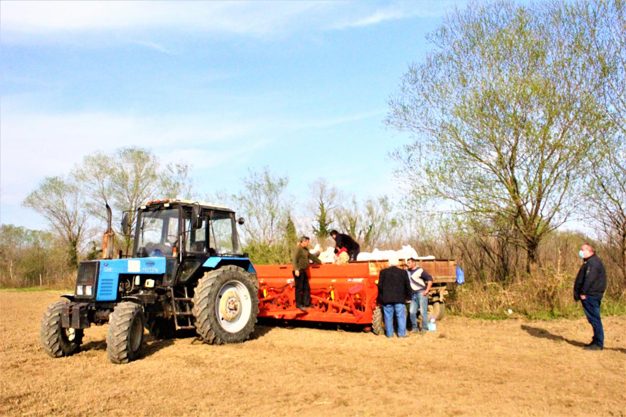 Spring Works are Being Carried out in Observance of Safety Rules  