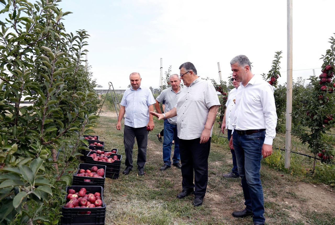 Harvesting is actively taking place in state funded gardens