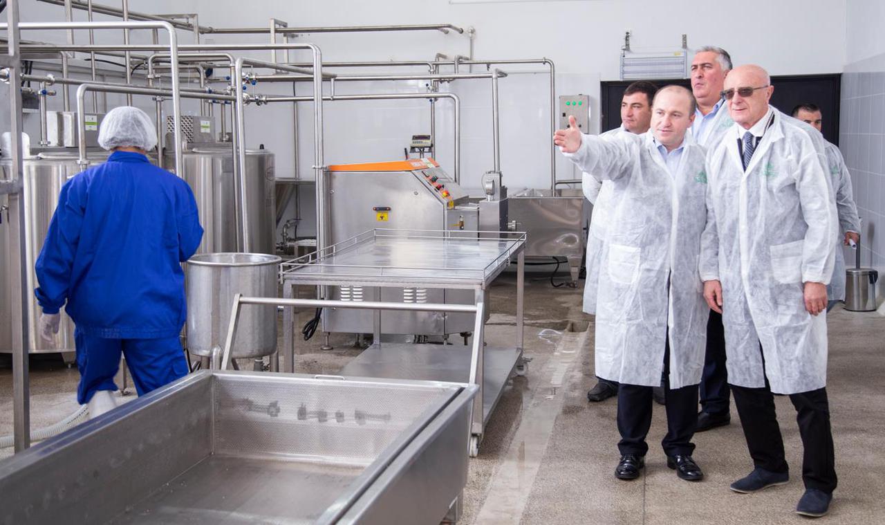 A new milk processing plant was opened in Imereti region within the framework of the “United AgroProject”