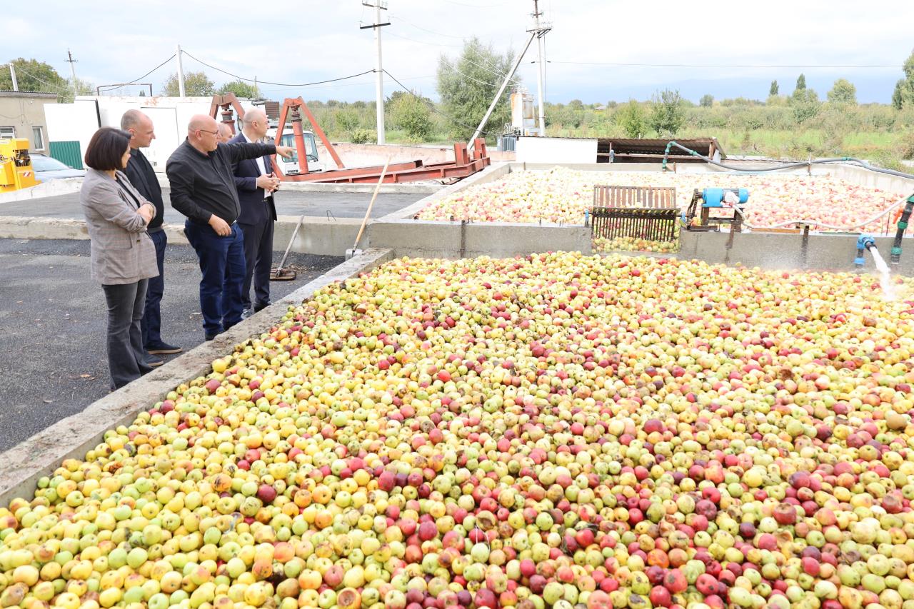 As of today, 9,000 tons of substandard apples have been delivered, and farmers have already received over 2 million GEL in income. 