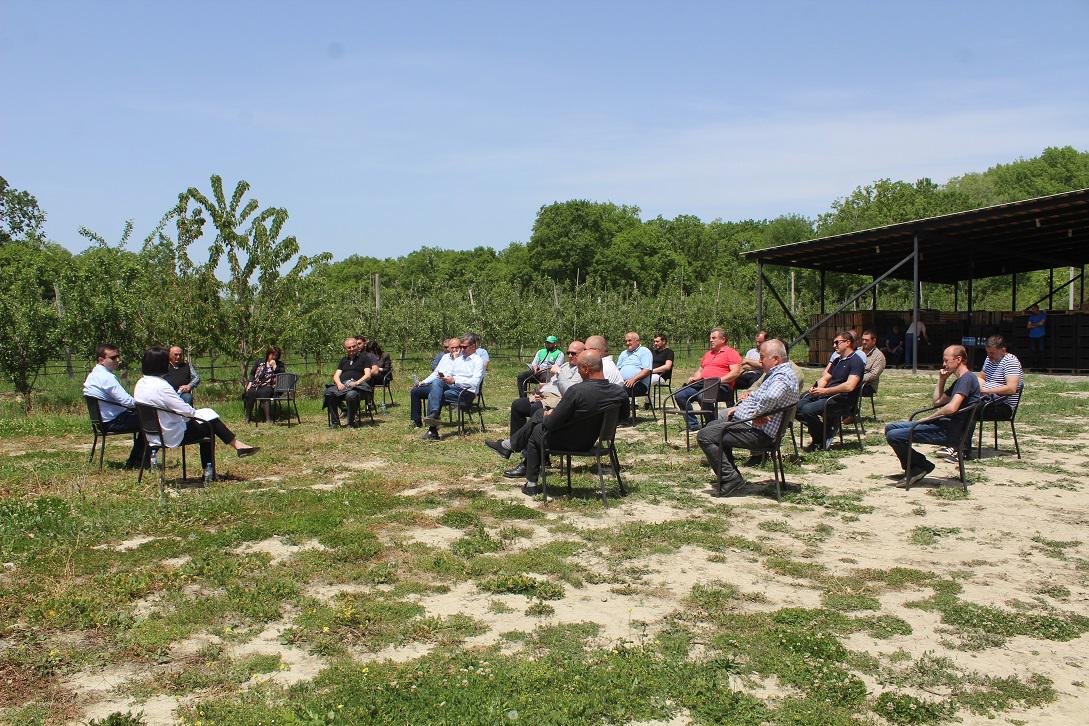 Farmers got acquainted with the details of the programs envisaged by the anti-crisis plan in Shida Kartli region