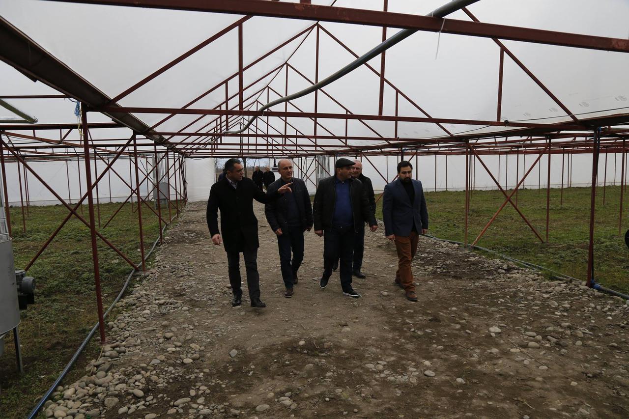 A New greenhouse facility has been arranged in Imereti region