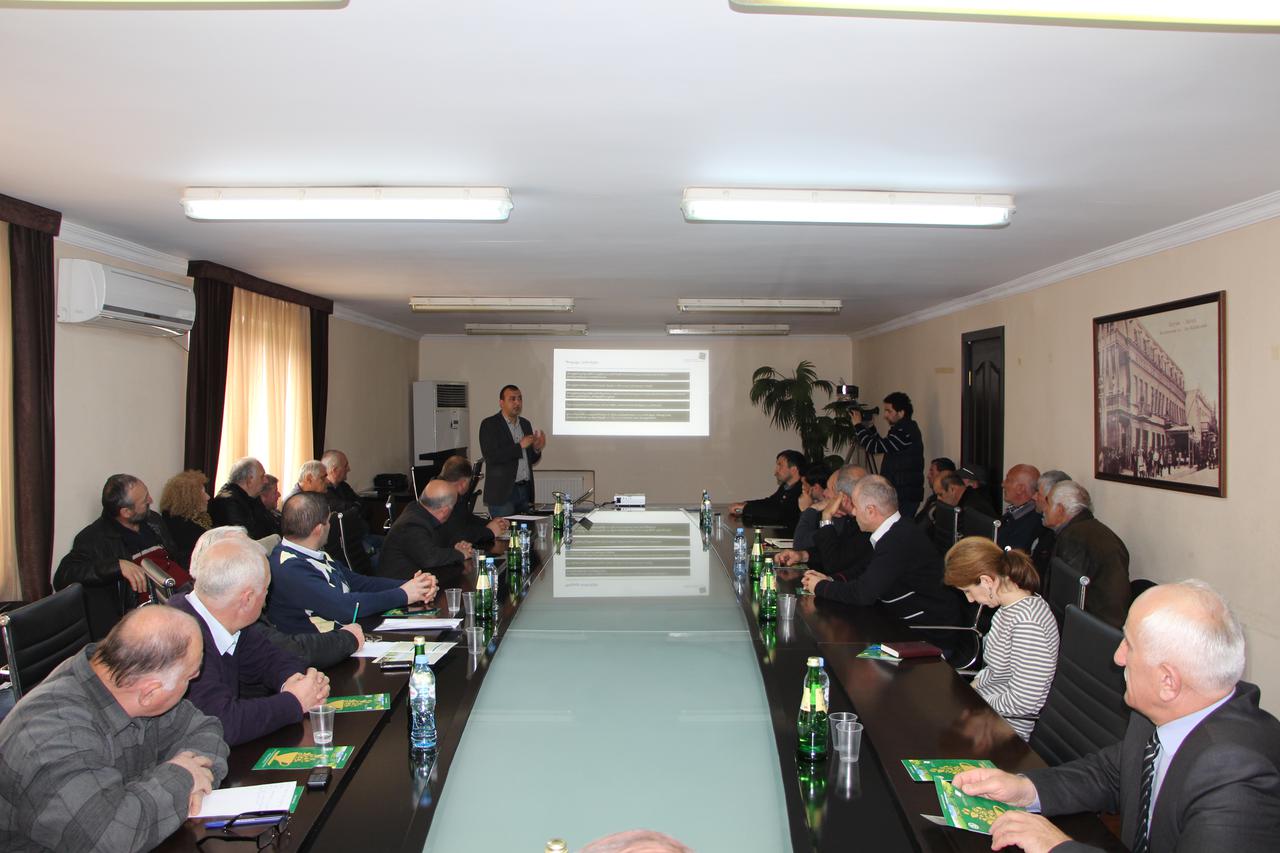 “Georgian Tea” Rehabilitation Program was Introduced to Adjara Region