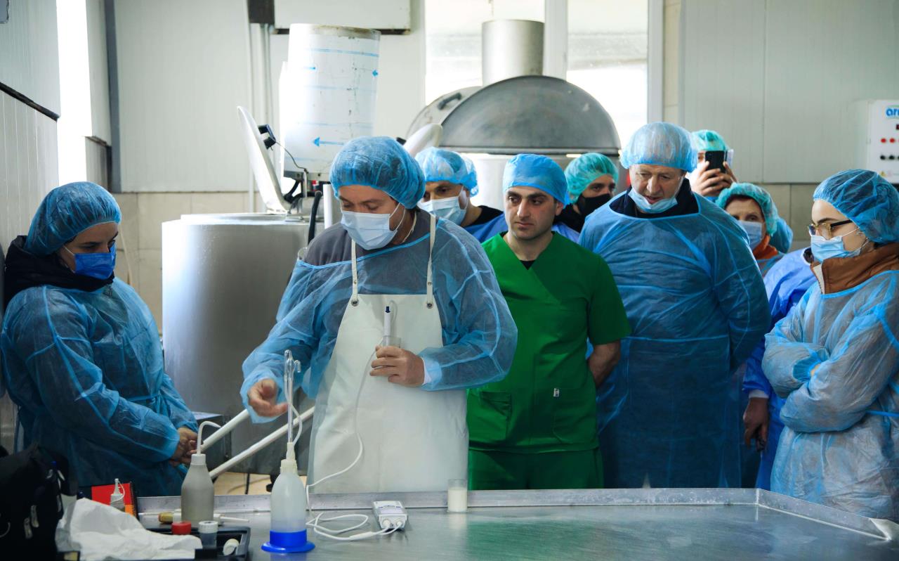 Members of milk-producing agricultural cooperatives get acquainted with French cheese making technology