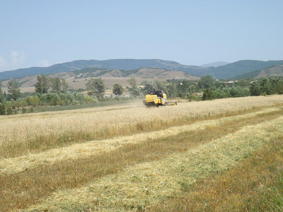 provided funds to subsidize harvest expenses in the border villages of occupied territories of Georgia  