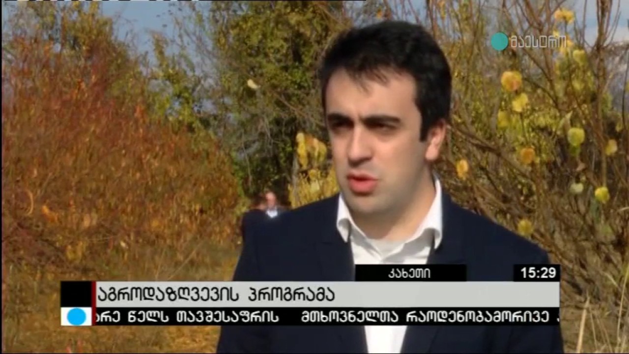  Kakheti farmers received full reimbursement due to the damage caused by the hail