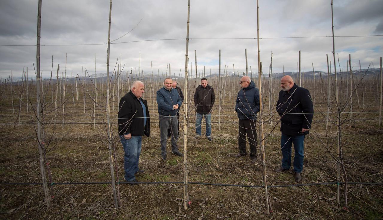 Near the occupation line, within the framework of the United Agroproject, a new orchard has been planted.   