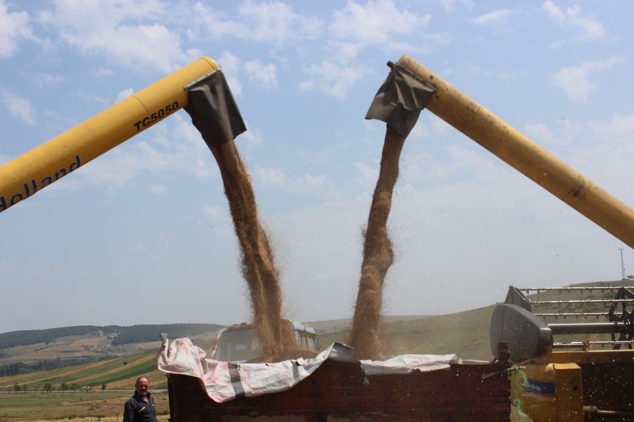 Harvest taking procedures are actively going on in the villages bordering the occupational line 