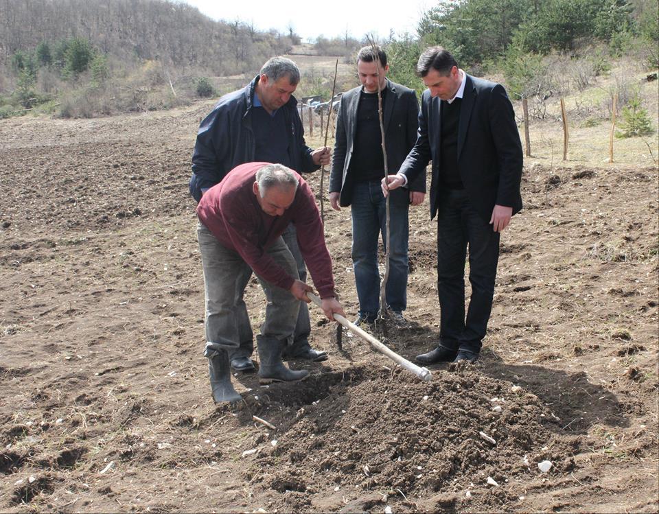 New Walnut  Orchards  to Be Cultivated within “Plant the Future” Program  in Racha 