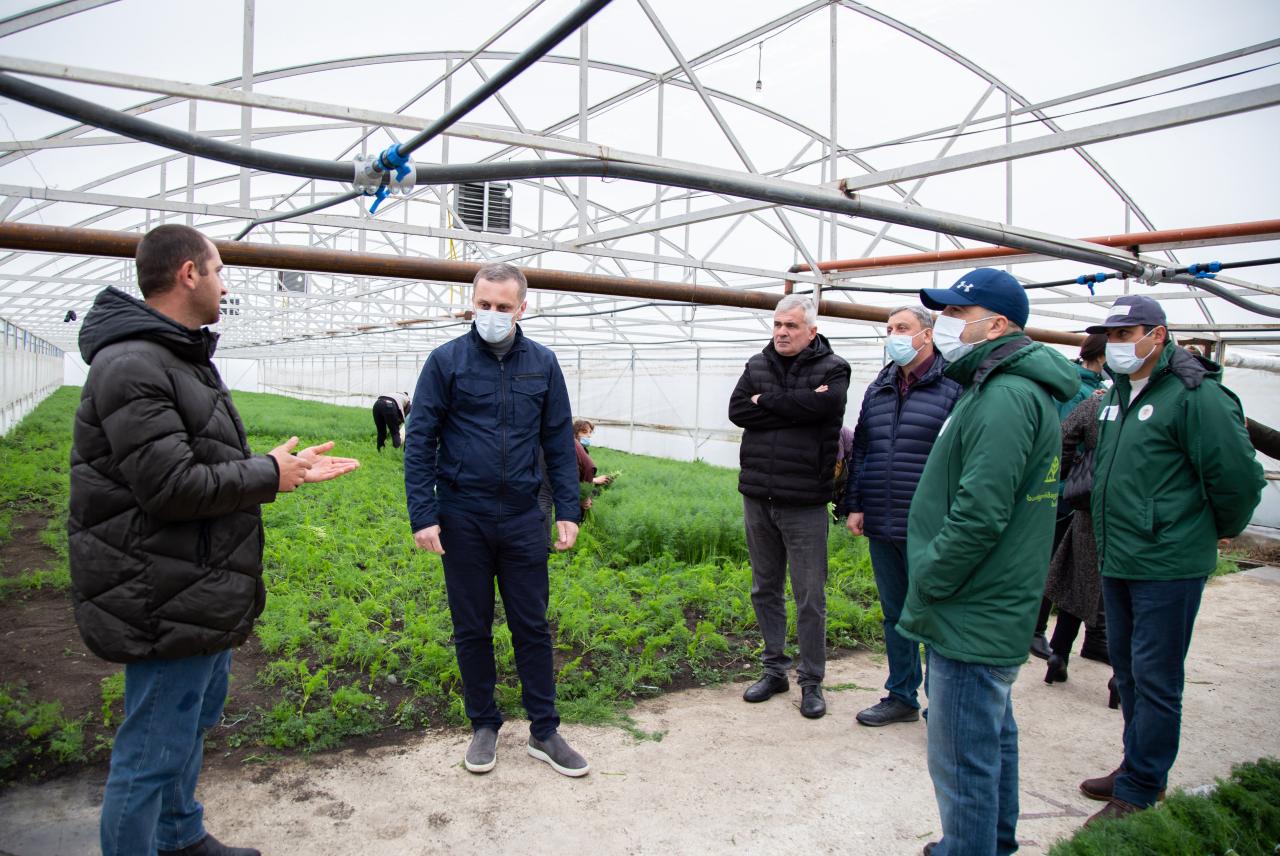 Greenhouse Farm has been established in Tskaltupo Municipality with financial support from the state