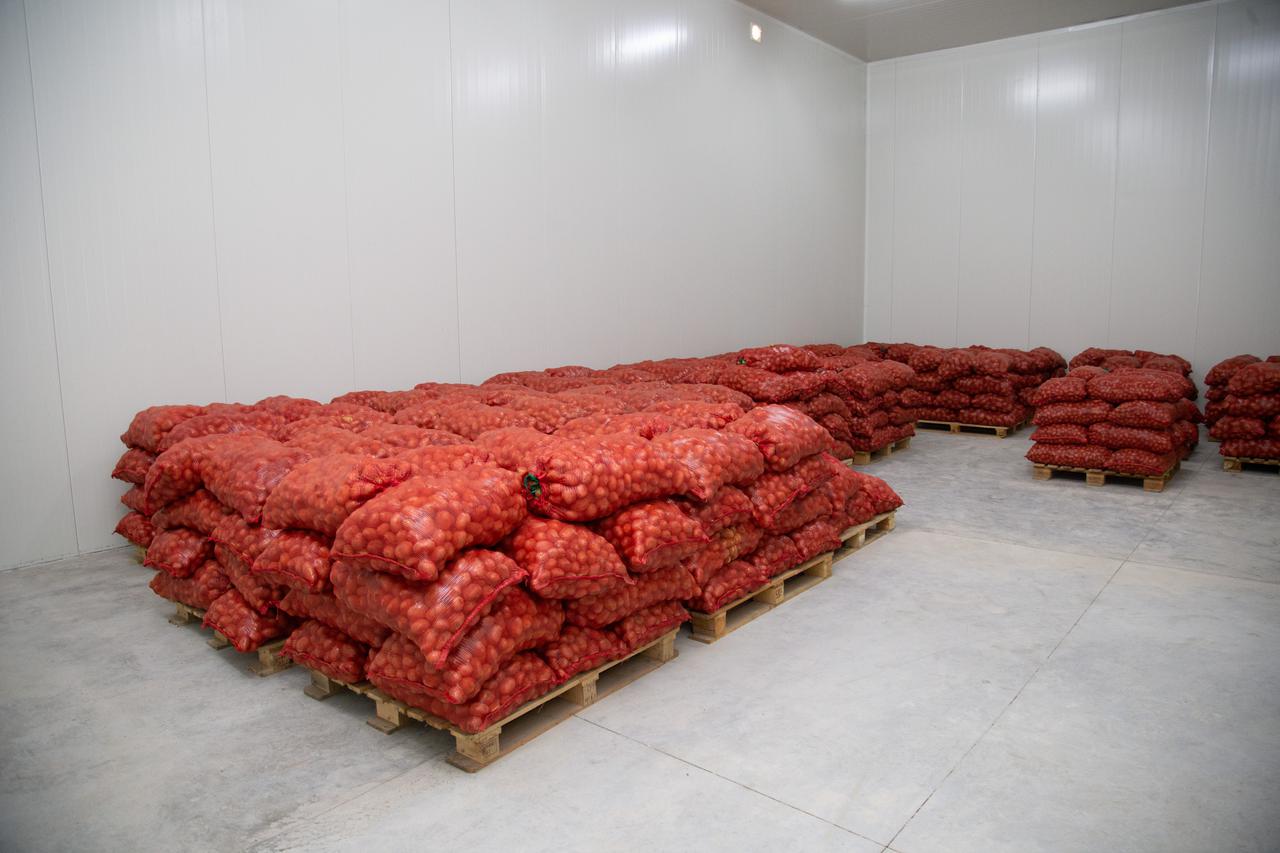 New Storage  Facility Is Launched in Kvemo Kartli Region within the framework  of the United Agroproject