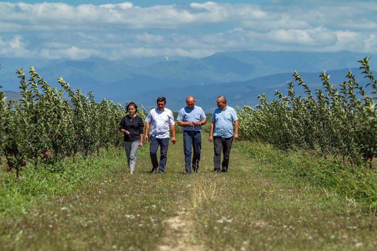 A new apple garden has been cultivated in Shida Kartli region within the United Agro Project