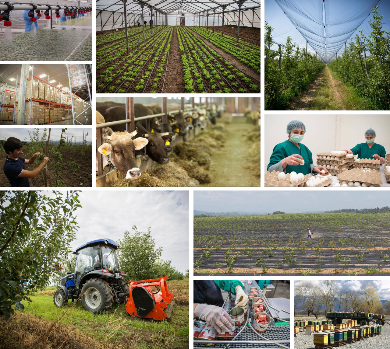 The increased budget of the preferential agrocredit project for 2023 was set at 200 million GEL