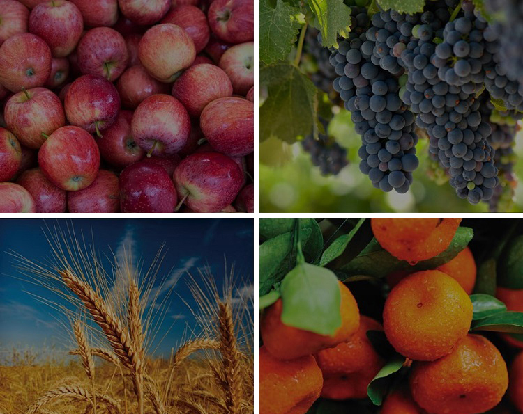 The Rural Development Agency implements the state agroinsurance program with an increased budget