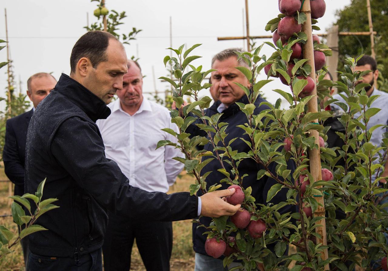 First Harvest in the Frames of “Plant the Future”