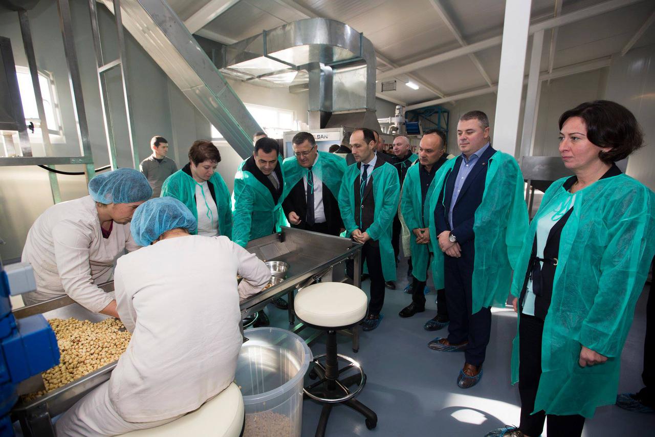 A new Hazelnut Processing Enterprise was opened in the village Ingiri, Zugdidi Municipality.   