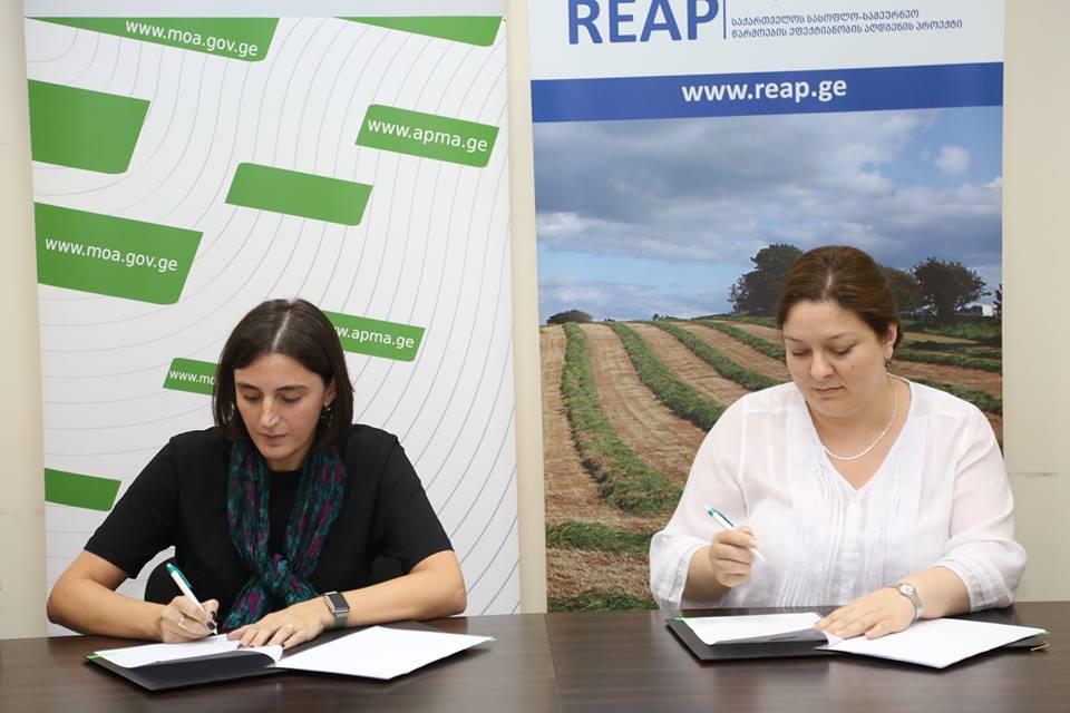 Standards of Primary Agricultural Industry Certification Programe „GLOBAL GAP” will be introduced with the support of State and USAID / REAP 