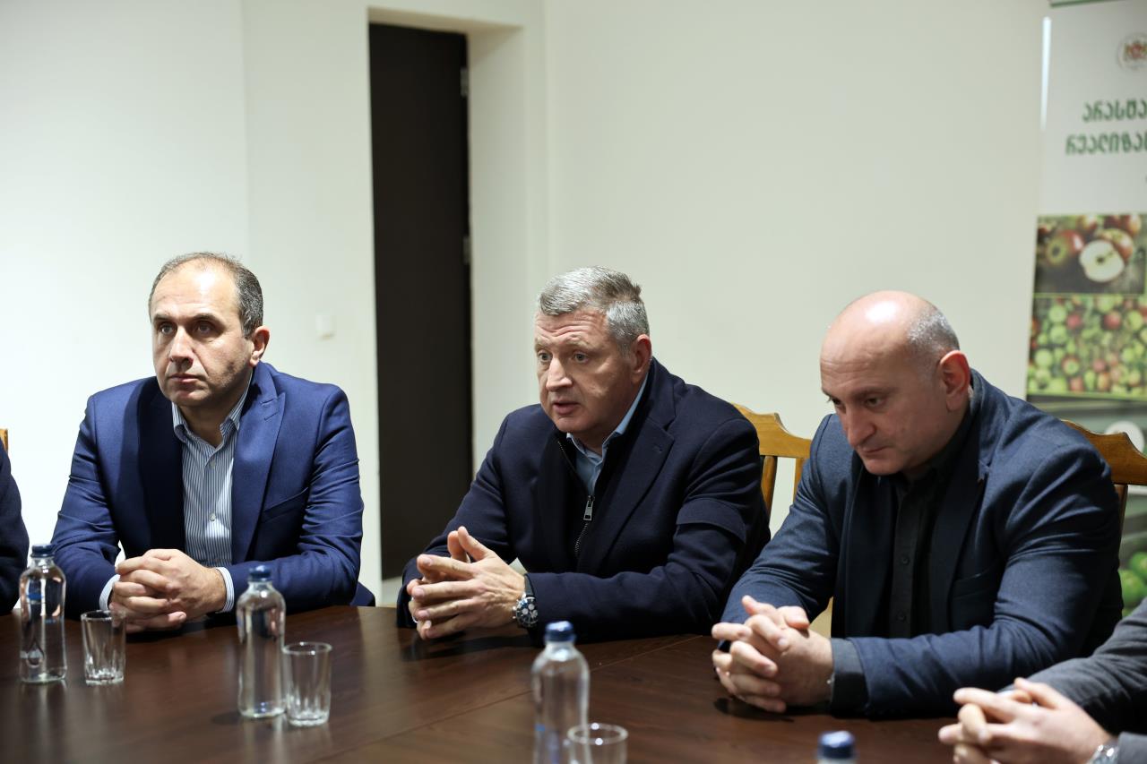 არასტანდარტული ვაშლის მოსავალი დაბინავებულია - ფერმერებმა 12 მლნ ლარი შემოსავალი მიიღეს