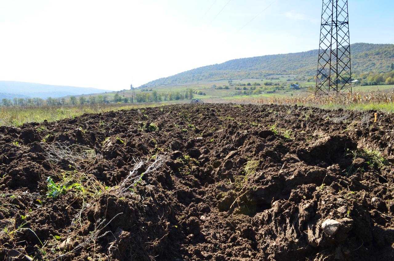 Small Farmers fall Works Support Program in Dusheti