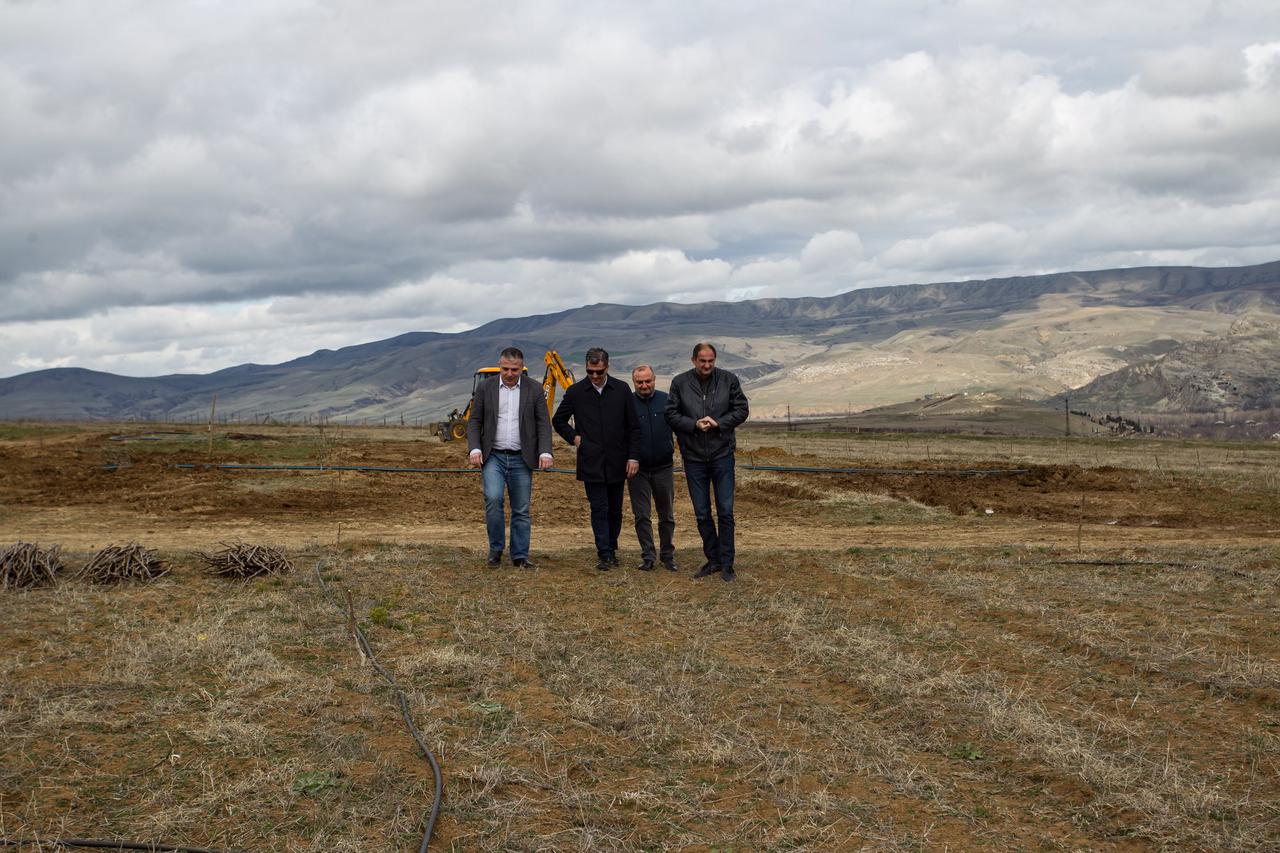 Another New Orchard was Planted in Shida Kartli Region