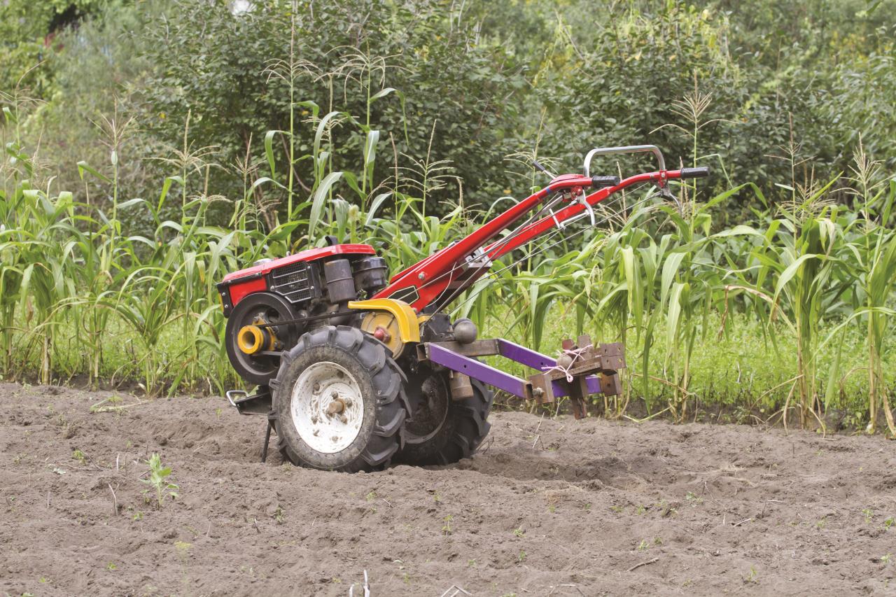 Receiving applications for the co-financing program for agricultural equipment in mountainous regions will begin on May 21, 2024 at 12:00 p.m.