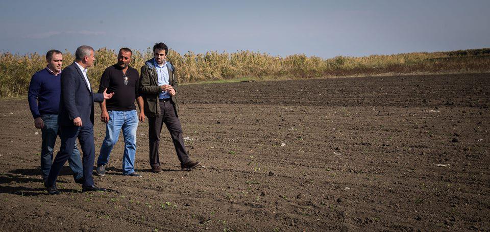   The damage caused by hail was fully compensated to the Farmer from Kakheti region