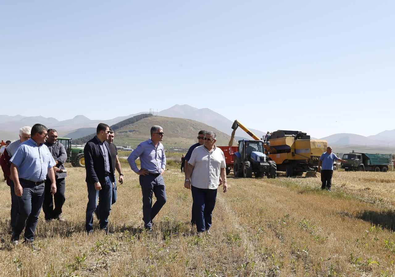 Grain Crops Harvesting  Is Underway in Samtskhe-Javakheti Region