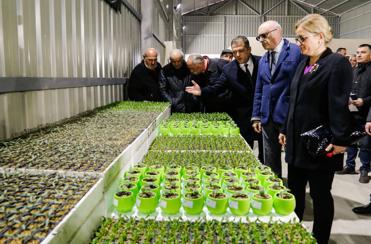 Under the United Agroproject  a new greenhouse enterprise was constructed in Marneuli region 