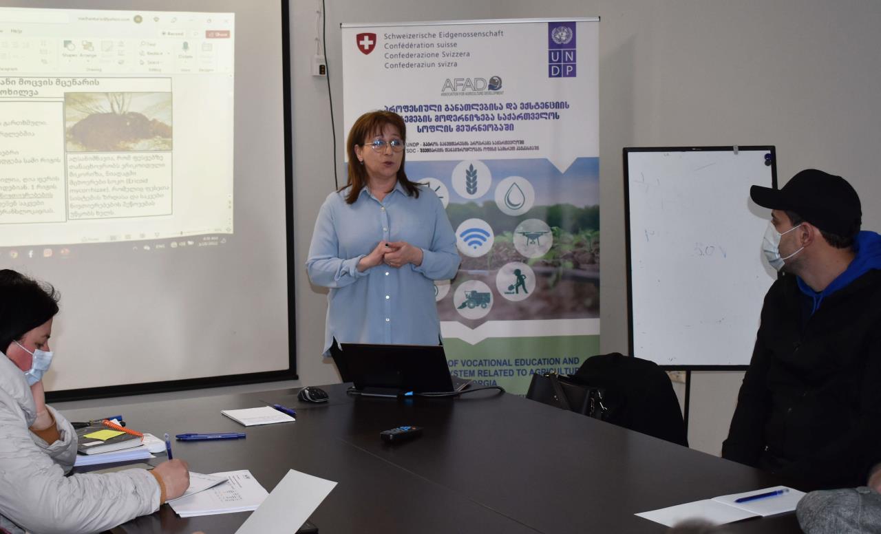 In Imereti, Guria and Samegrelo-Zemo Svaneti regions, the beneficiaries of the Rural Development Agency were trained in the agro-technology matters of blueberry production