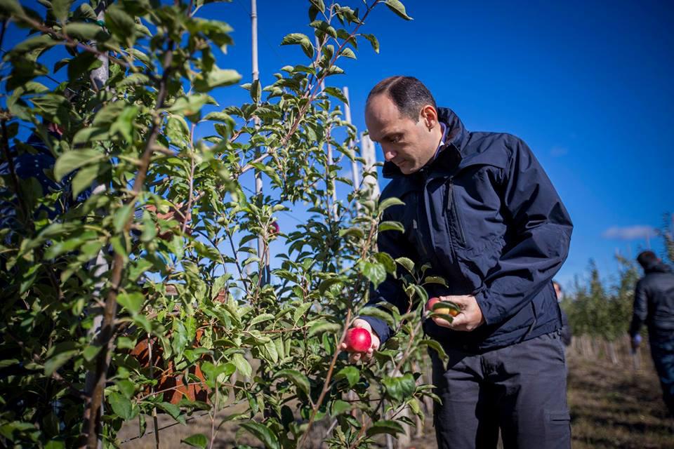 First apple harvest under the from of “Plant the future“ program