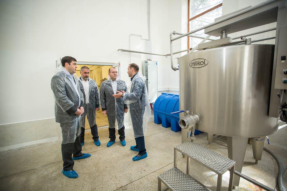 New Dairy Processing Enterprise Opened in Gardabani within the frames of the Uniform AgroProject