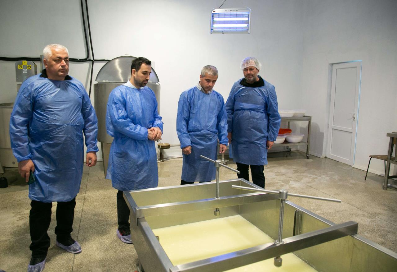 "Kvari Mountain" -  a state-funded milk processing cooperative in Tianeti Municipality, has obtained an international food safety standard.